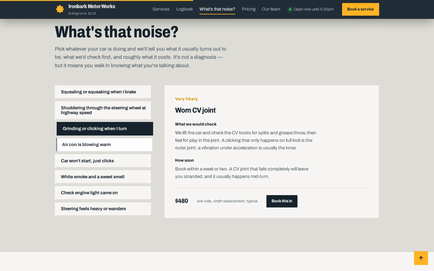 Ironbark symptom checker